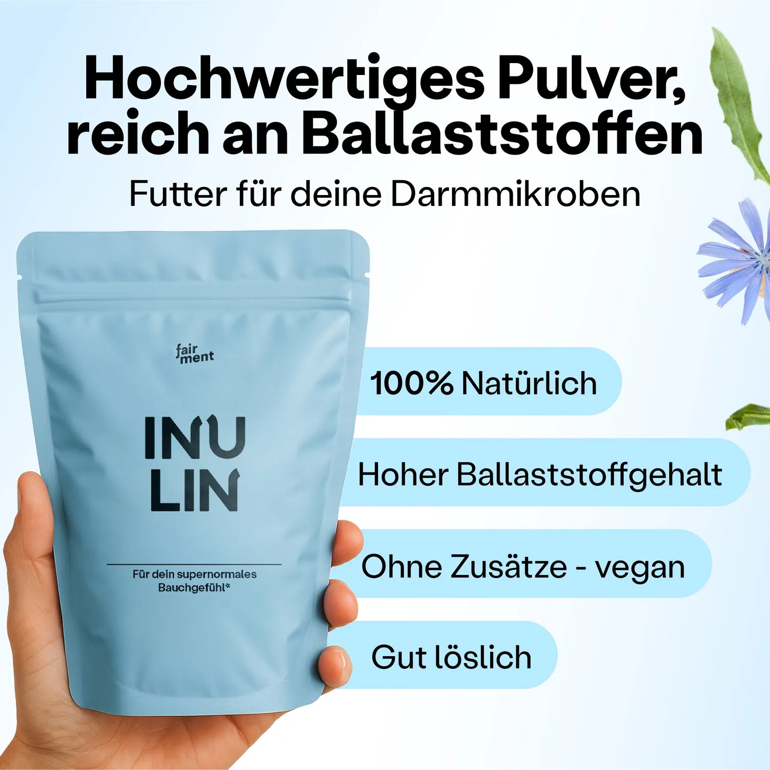 fairment SuperFiber Inulin Pulver 1000g Ballaststoff